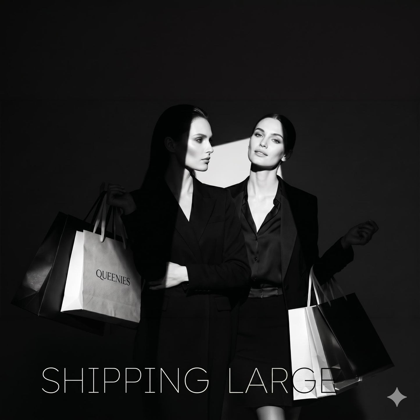 Shipping Label Large (upto 10kg)